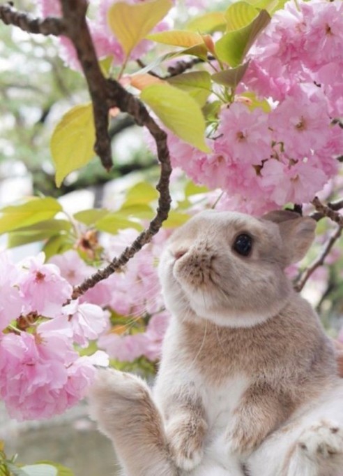 ♥