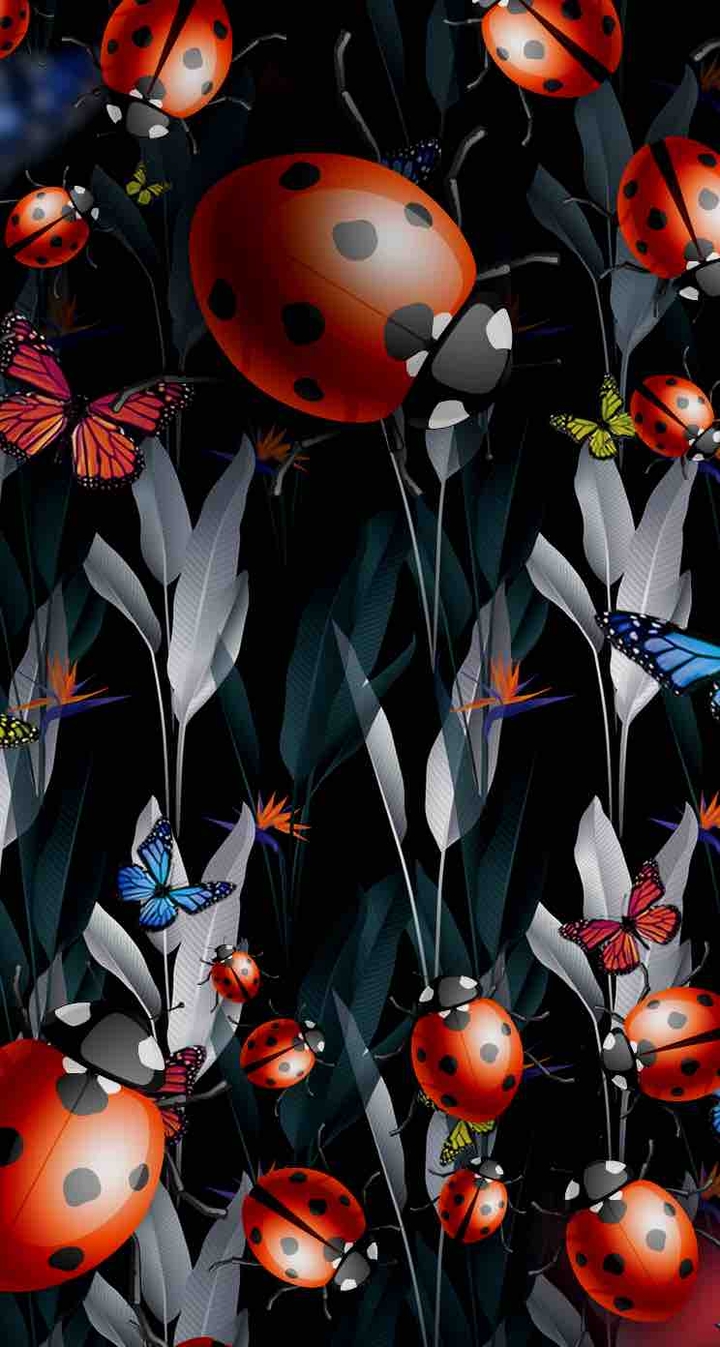 Insect paradise