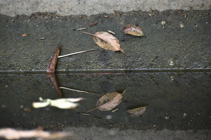 вода
