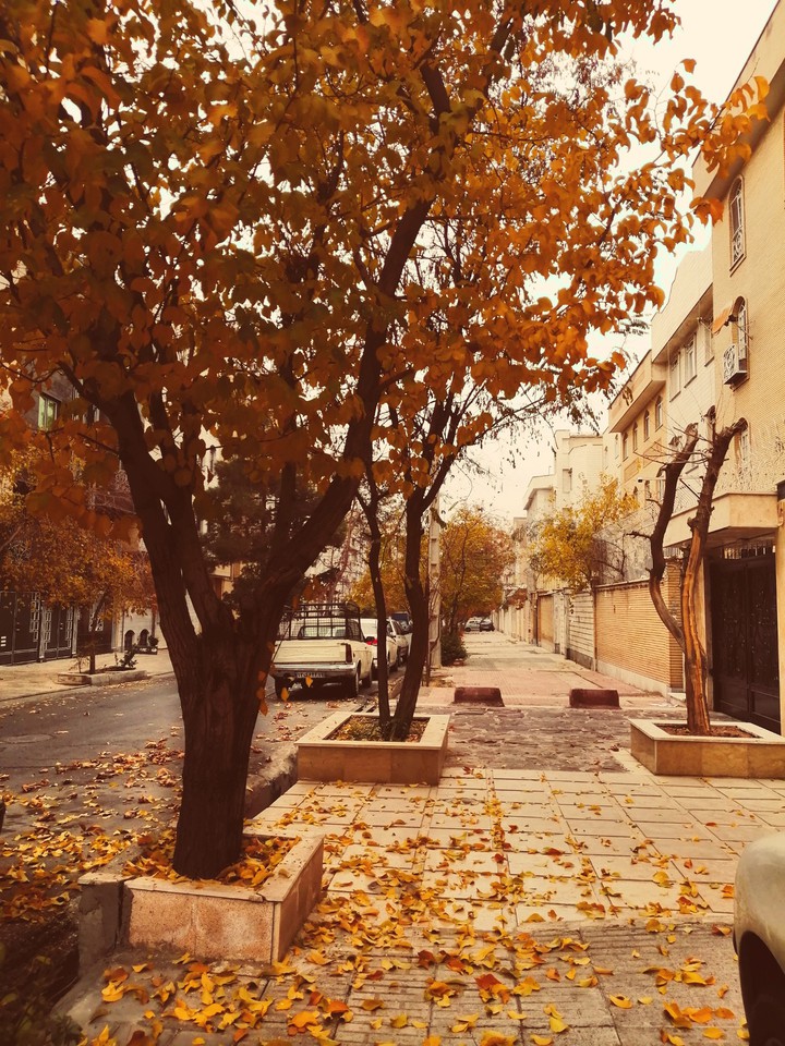 autumn