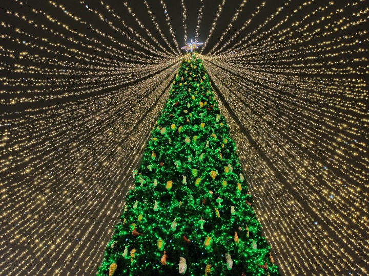 Christmas tree#