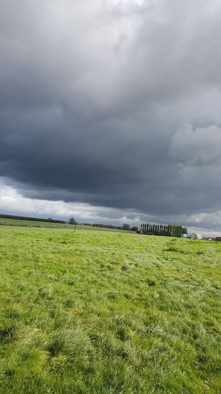 Storm ahead