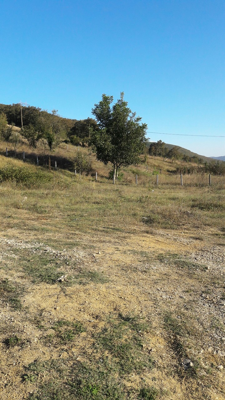 Samsun