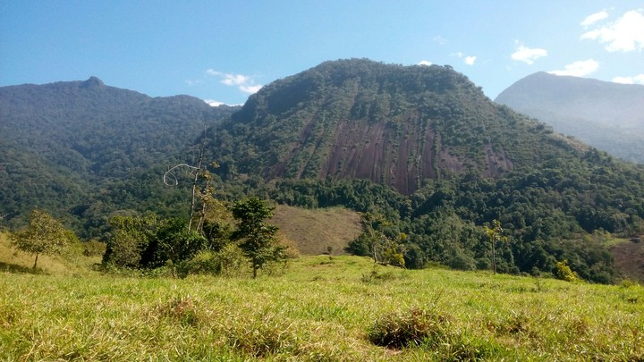 Pedra