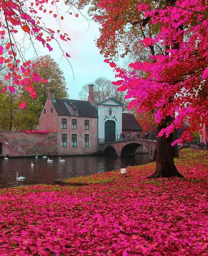pink channel