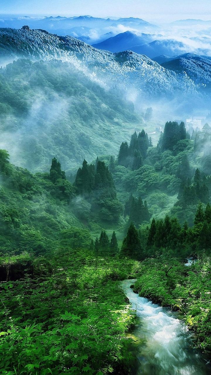 nature