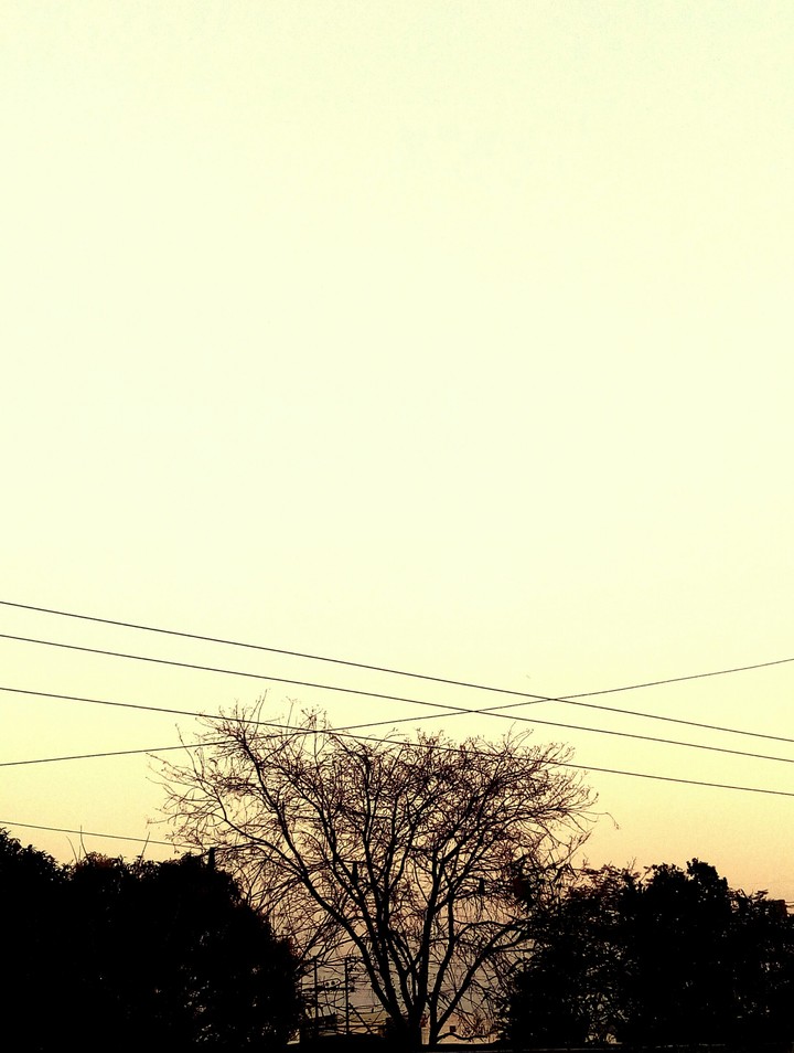 Nature's Magic