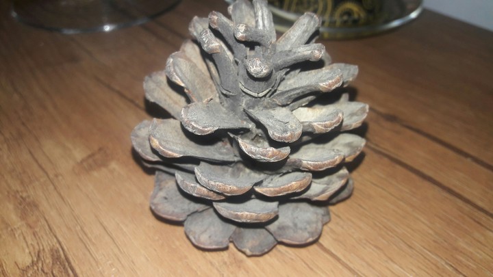 brown tree