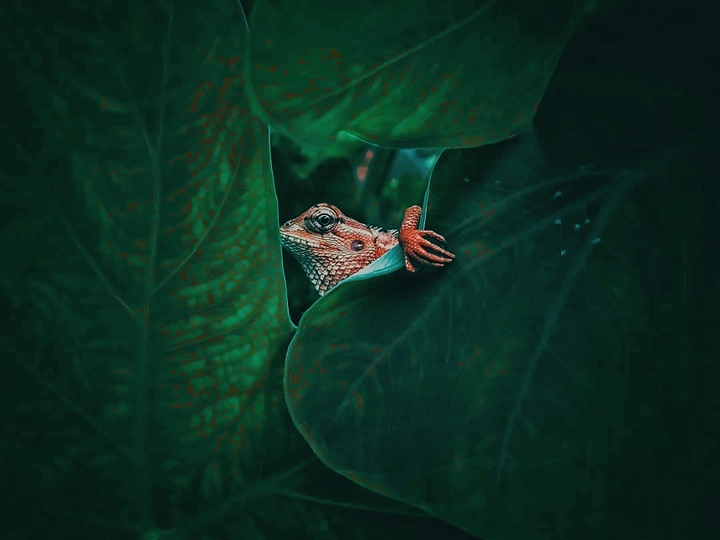 Through my eyes