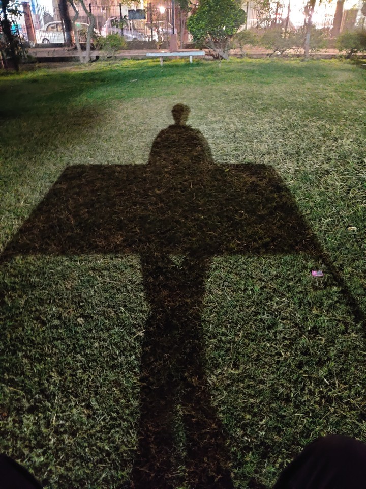 shadow park