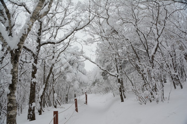 태백산이미지
