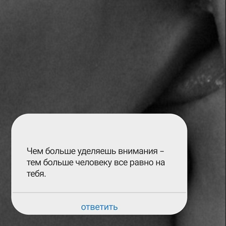 цитата