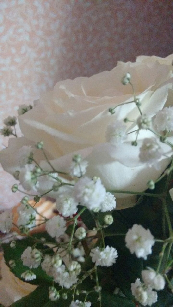 belles fleurs :)