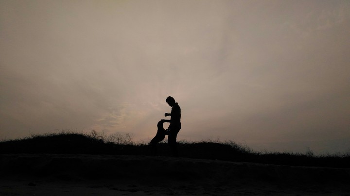Pet Love