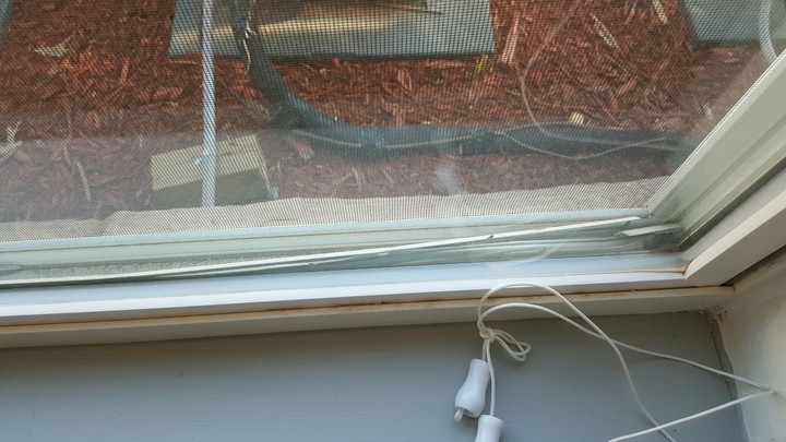 window
