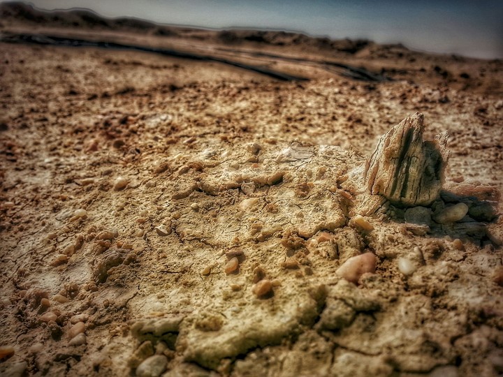 Land