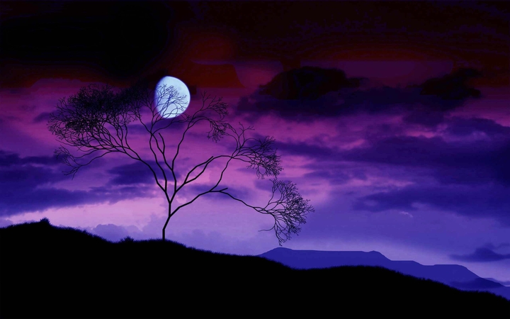 night sky