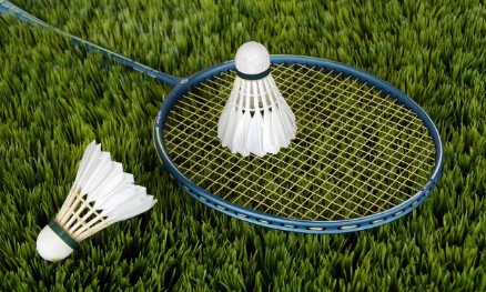 Fastest Object In Sports