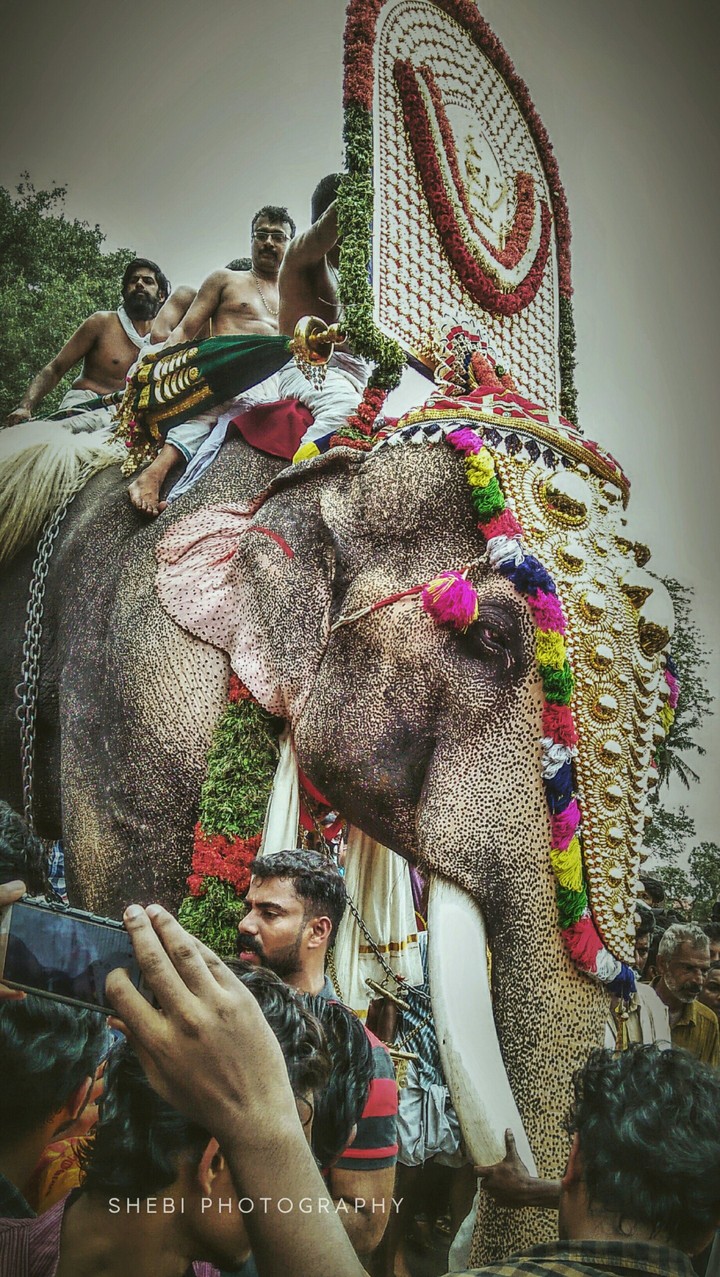 Thrissurpooram 2018