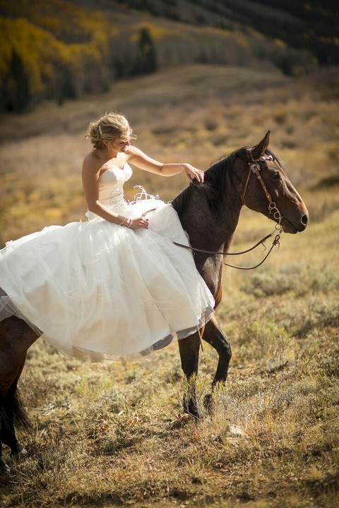 horse