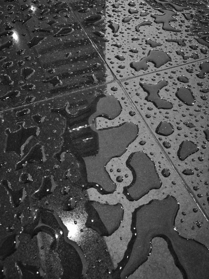 After the rain