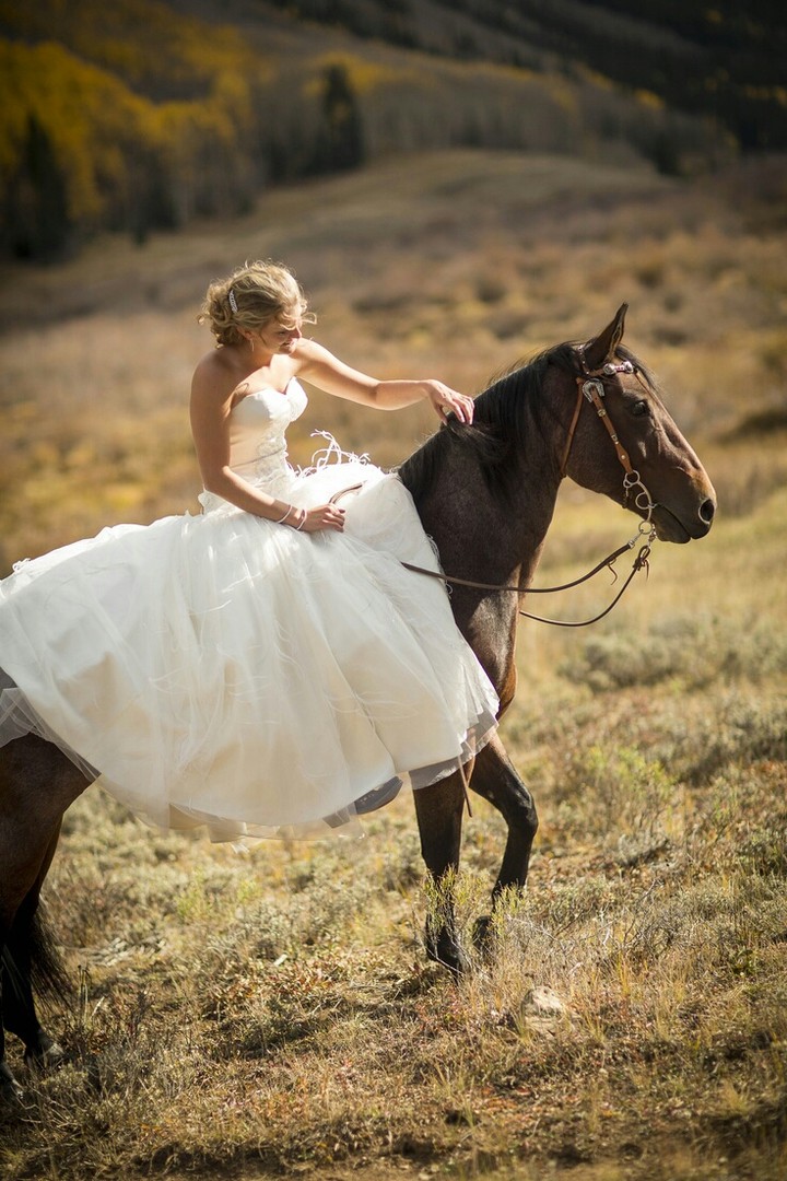 horse
