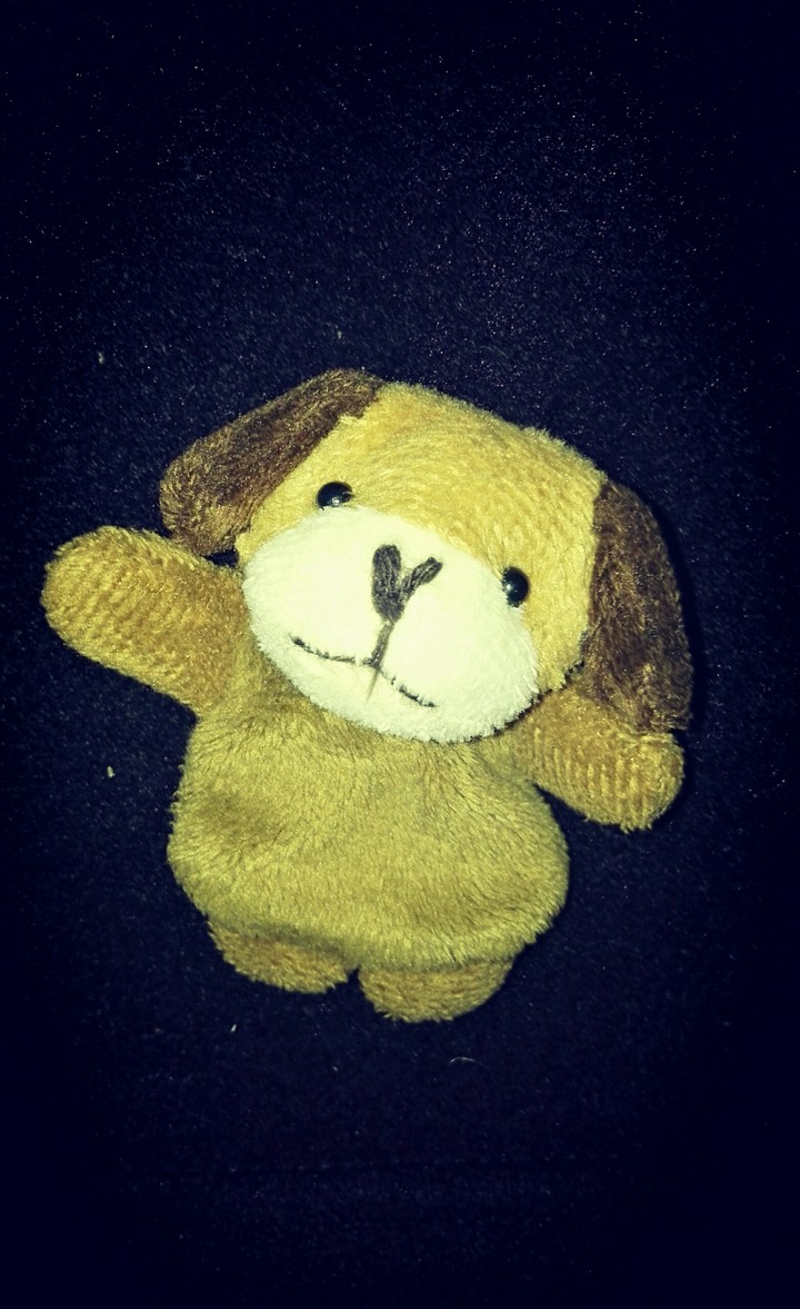 Toy Dog