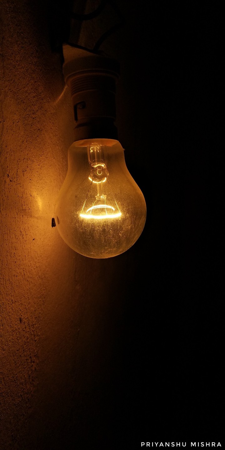 Bulb