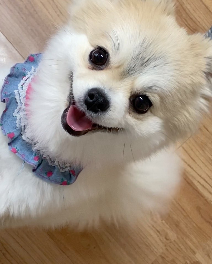 ♡