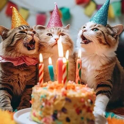 Feliz cumpleaños miau miau