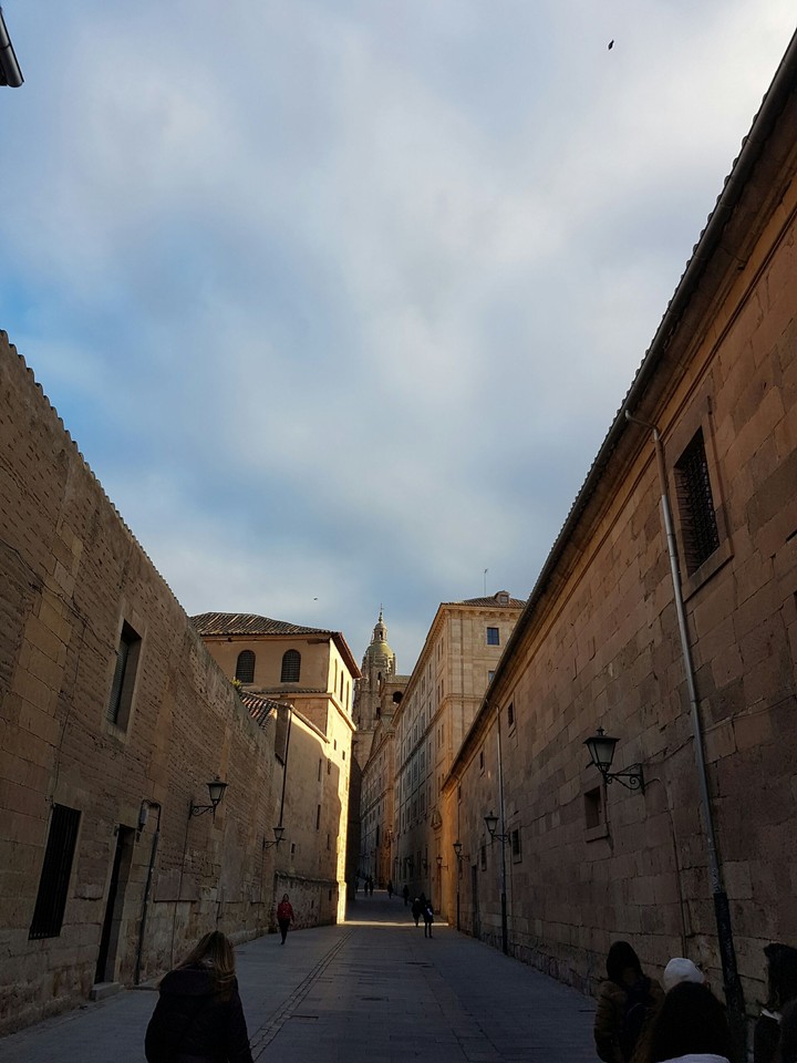 Salamanca (Spain)