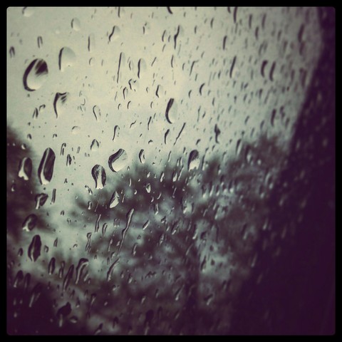 rain drops on my window