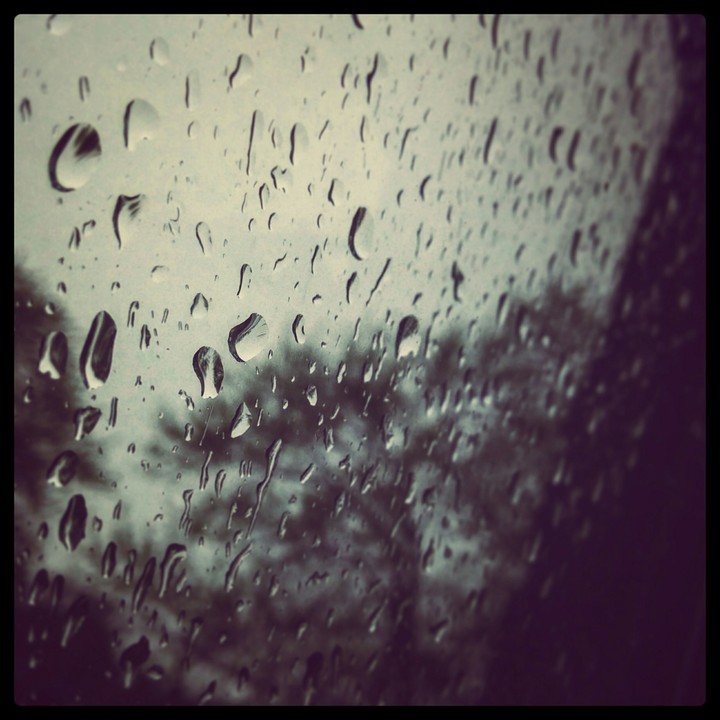 rain drops on my window
