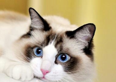 cute??