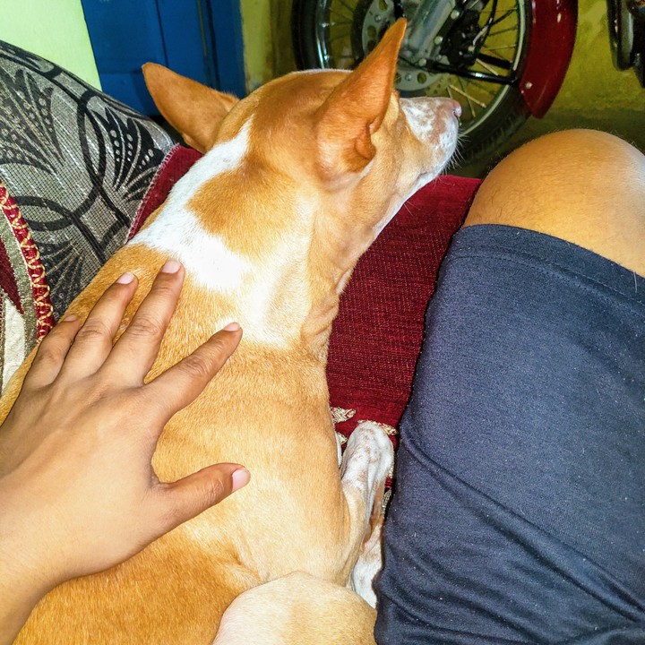 best friend