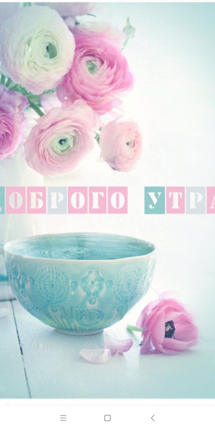 Доброе утро☕
