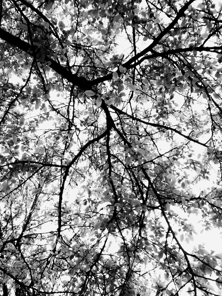 Looking up 2