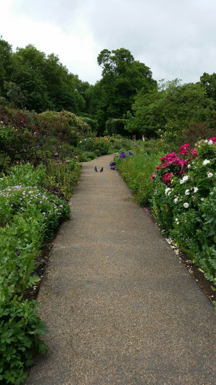 hyde Park london