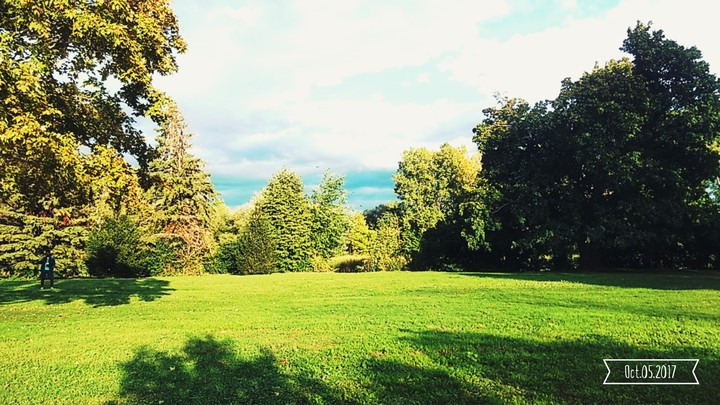 Grassland