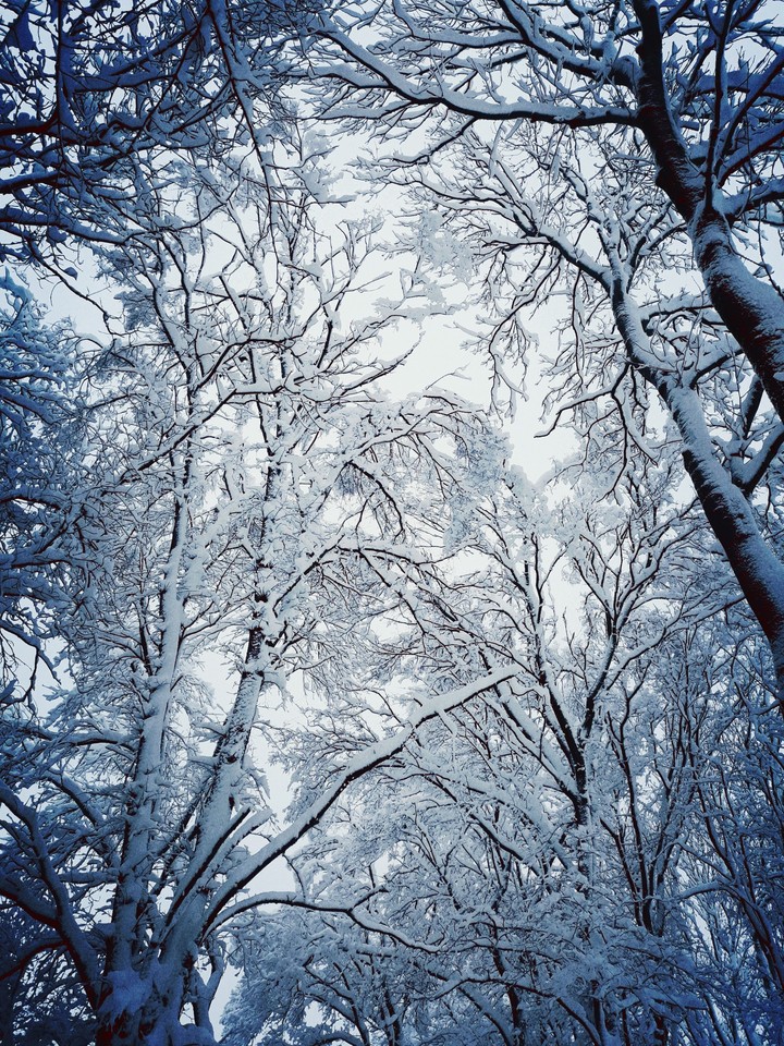 Winter