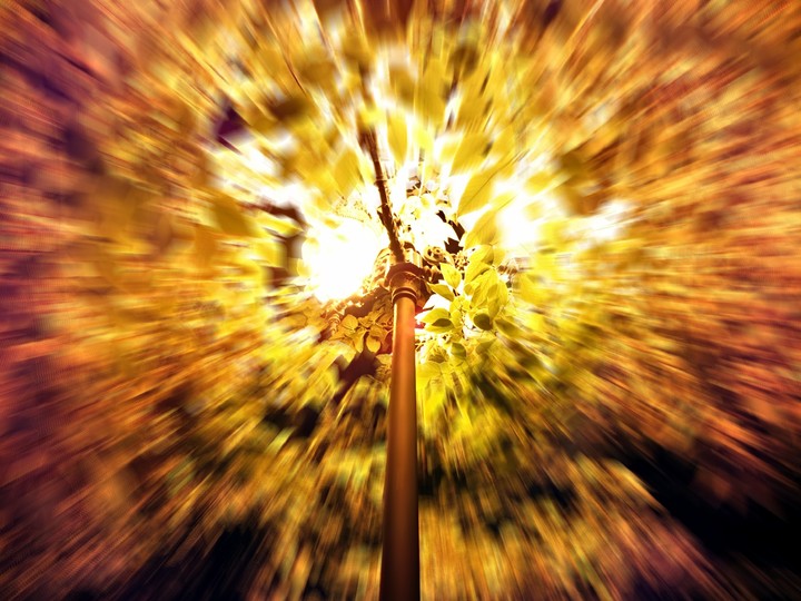 Autumn Night 