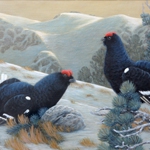 bird