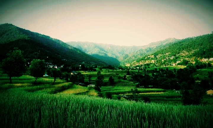 Karsog Velly