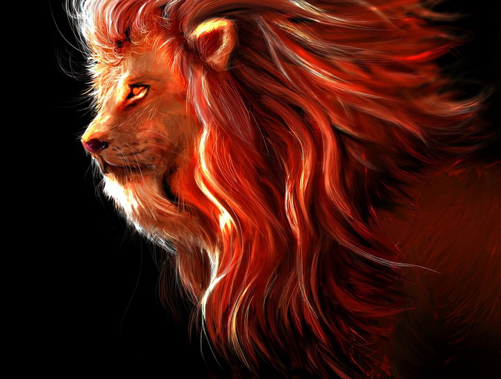lion