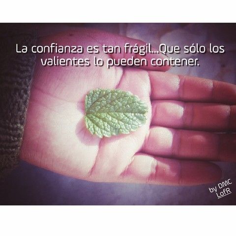fragilidad