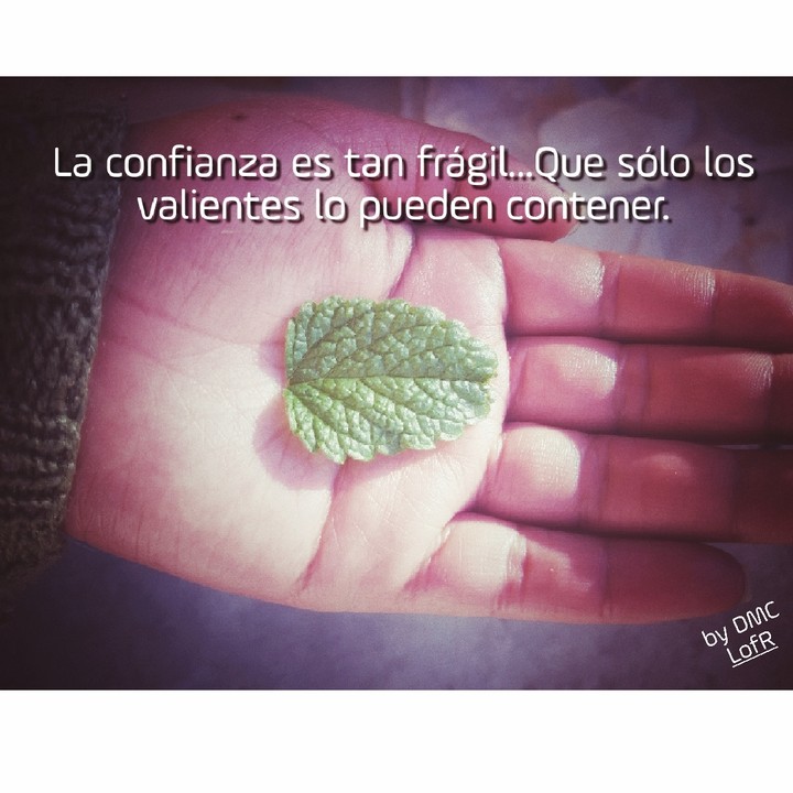 fragilidad