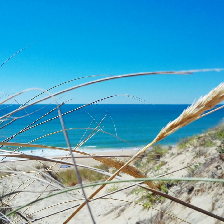seaview