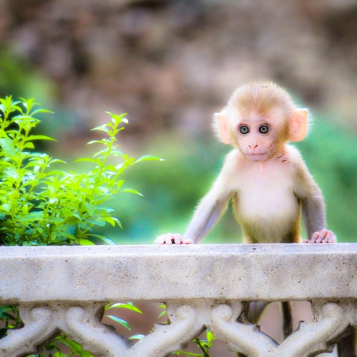 ☺️...so cute❤️..