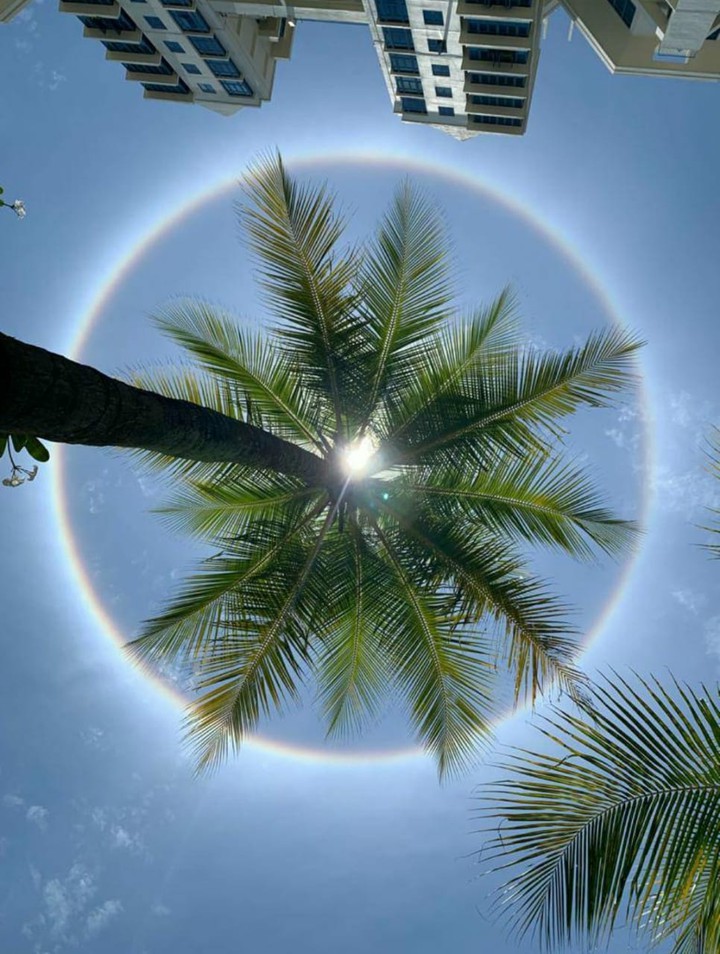 sun-bow