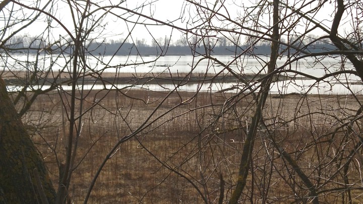 Wyspy Zawadowskie, Wyspy Świderskie